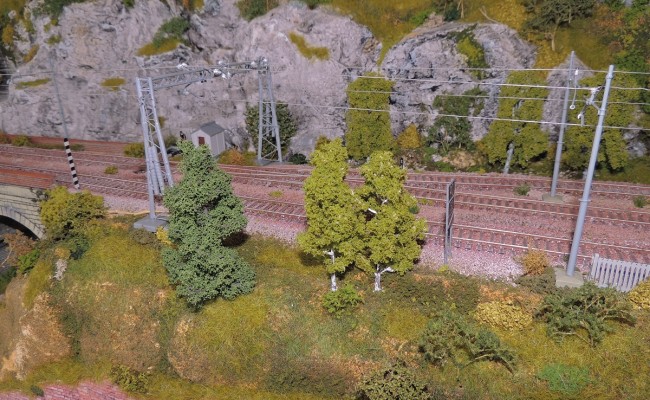 26 Centro diorama