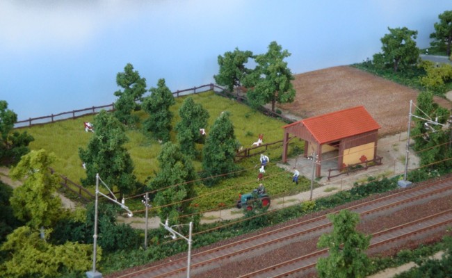 DSC00800