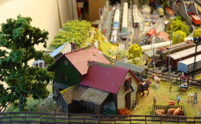 DSC01148