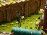 Particolari piano terra