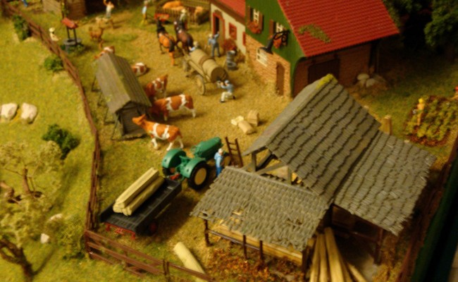 DSC02804