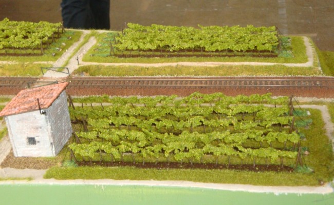 DSC07660