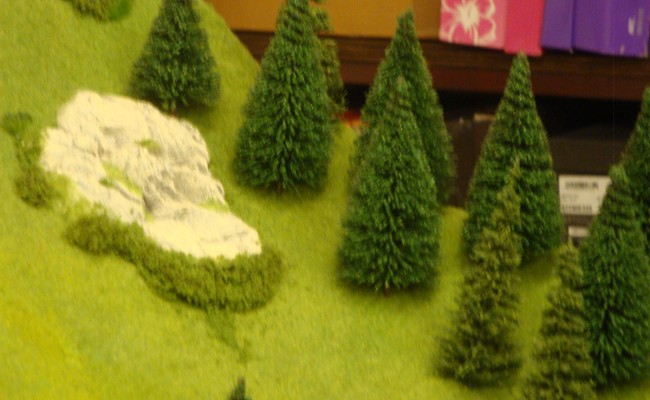 DSC09755